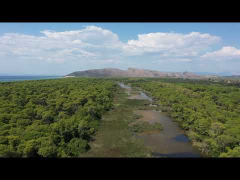 Υγρότοπος Στροφυλιάς | Ηλεία