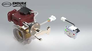 ENDURA Valve
