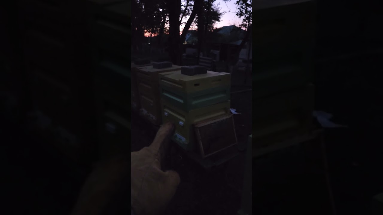 Первые потери!!! 