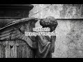 Nightwish Beauty Of The Beast Slowed Reverb ️