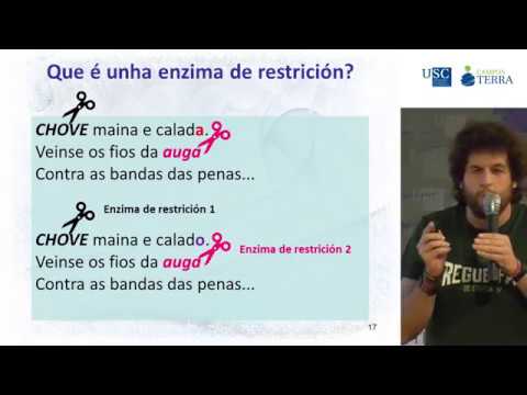 Vídeo: Ferramentas moleculares para identificación de híbridos: rodaballo (Scophthalmus maximus) e coruxo (S. rhombus)
