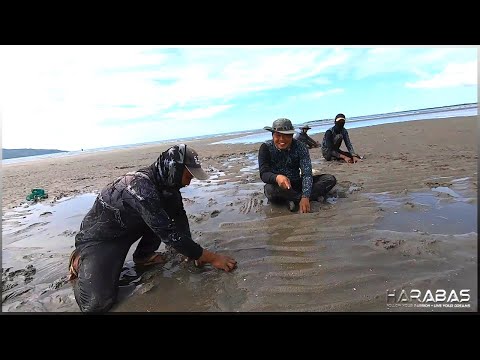 EP227-Part1 - Kabya Forage and Cook | Operation Pulot Basura | Occ. Mindoro