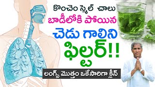 Bodyలోకి పోయిన చెడు గాలిని ఫిల్టర్ చేసి Lungs మొత్తం క్లీన్ | Dr Manthena Satyanarayana Raju Videos