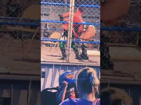 Davienne with the tomebstone counter and spear to JT Dunn on the steel cage (Chaotic) #intergender