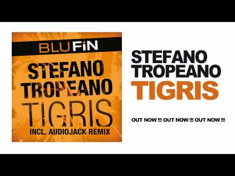 Stefano Tropeano - Tigris (Audiojack Remix)