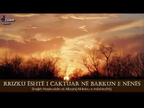 Fetwa: Rrizku është i caktuar në barkun e nënës - Shejkh Nasiruddin el-Albani (rahimehullah)