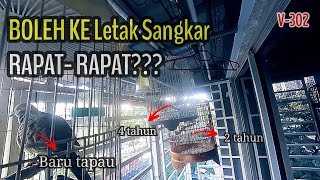 Download lagu Cerita Merbuk_ Letak Sangkar Rapat..Mau Ke Bunyi?? mp3 Download lagu Cerita Merbuk_ Letak Sangkar Rapat..Mau Ke Bunyi?? mp3
