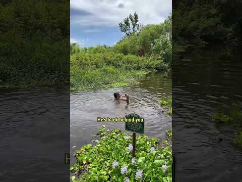 GATOR TRYS TOO TURNT TEA 🍋🐊