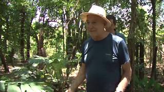 Miniatura do vídeo