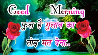 Good morning Shayari 🌹 गुड मॉर्निंग शायरी 🌹 Good Morning status 🌹 good morning