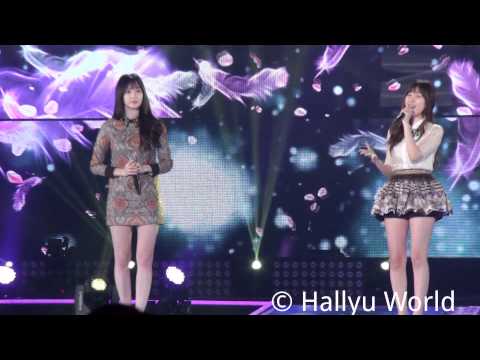 [K-POP Collection in Seoul] DAVICHI - Turtle