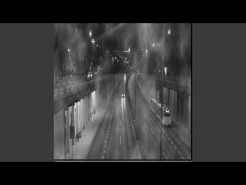 Miasto zaczyna żyć nocą