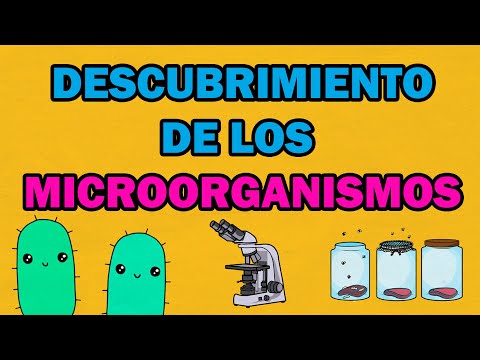 🔴 DESCUBRIMIENTO DE LOS MICROORGANISMOS Y TEORÍA DE LA GENERACIÓN ESPONTÁNEA | Microbiología 🔬