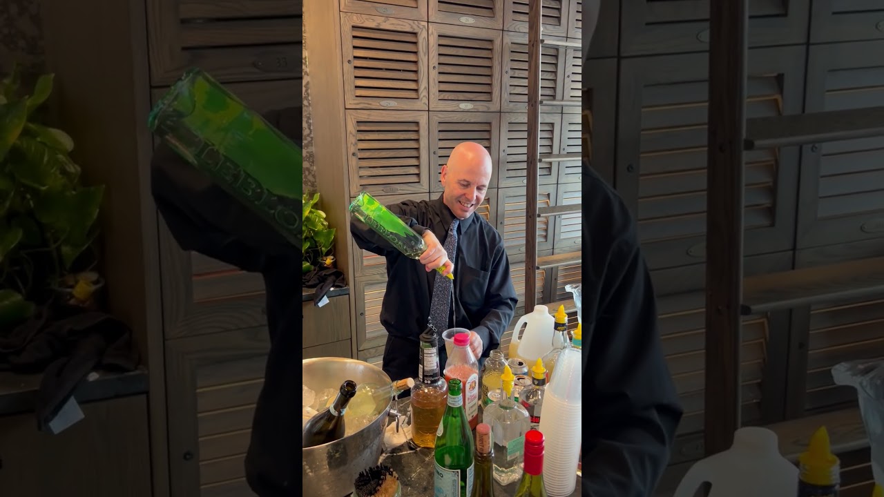 Promotional video thumbnail 1 for Bartender - Professional Mixologist