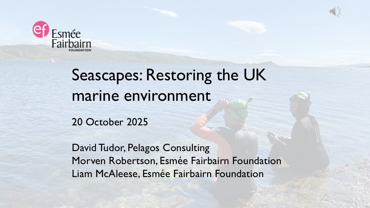 Seascapes: Restoring the UK marine environment