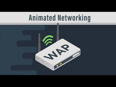 What is Wireless Access Point (WAP) - Explained | CCNA & CompTIA Network+