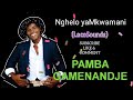 Pamba gamenandje (Official audio)