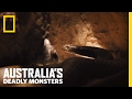 The World's Deadliest Snake | Australia's Deadly Monsters