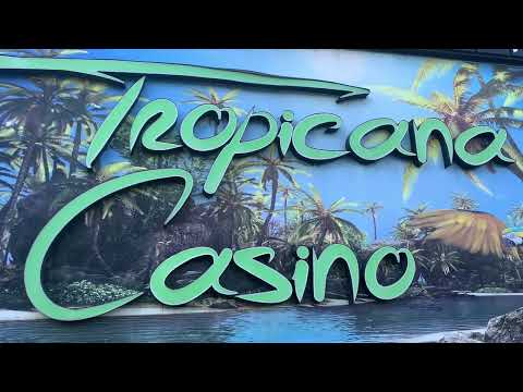 Walking around Paramaribo in Suriname 🇸🇷