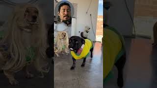Os memes mais engraçados da Copa do Mundo- Parte 2
