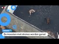 Reddingsactie voor honden die vastzaten in lavastroom