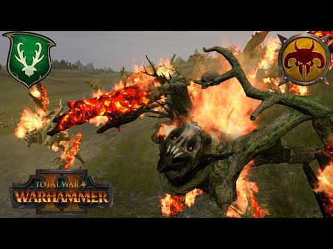 The Tree Spirits Are Called To Battle | Wood Elves vs Beastmen | Total War Warhammer 2