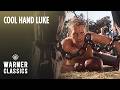Luke Boxes Dragline