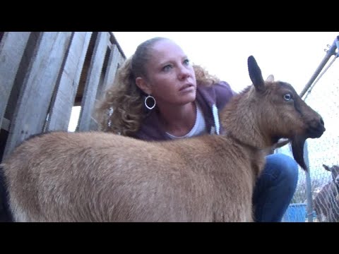 We're Running Out of Time!