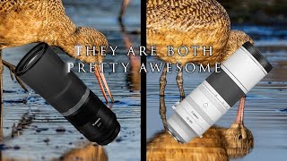 Comparing Canon's 800mm f/11 IS STM & 200-800mm f/6.3-9 IS USM Lenses on the R7 in morning light! 😎