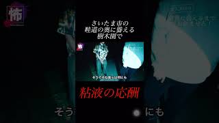 【⬇️本編はコチラ⬇️】八幡社の祠での撮影後、帰れなくなりました【薬師堂のマキ】
