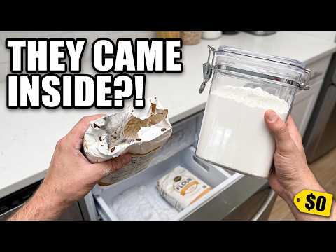 Your Flour Is Already Infested — Do This Before It Hatches (Not Bleach)