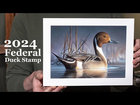 My Journey to Winning The Federal Duck Stamp Contest