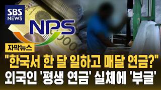"한국서 한 달 일하고 매달 연금?"..외국인 '평생 연금' 실체에 '부글' (자막뉴스) / SBS