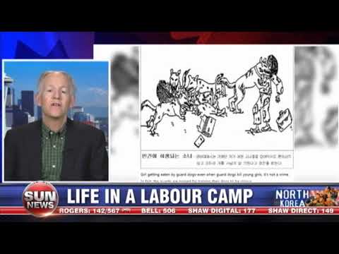 Escape from a North Korean prison camp