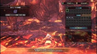 極モスソロ討伐（番外編）