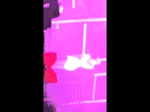 ⑤　2011.12.25 k.will Christmas Concert　happy Birthday ☆lucca　.mp4