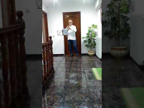 METAL- ESCUELA DE M�SICA 