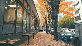 Portland Fall Downtown Walk (October 2021)