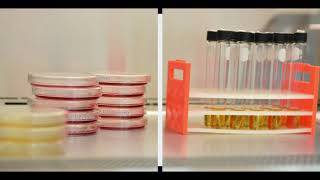 CCWD - The Official Website of Cabanatuan City Water District