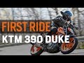 2017 KTM 390 Duke First Ride Review at RevZilla.com