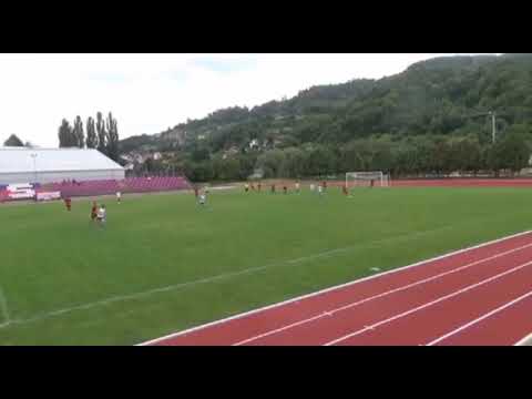 Danin Kadric CV 2021