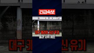 Download lagu 대구 신천 '캐리어 시신' 사건 충격… 20대 딸과 사위, 50대 모친 폭행 살해 후 대낮에 시신 담긴 가방 들고 걸어서 유기 mp3
