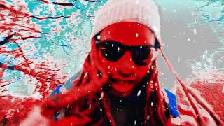Schnittlauch Music Video