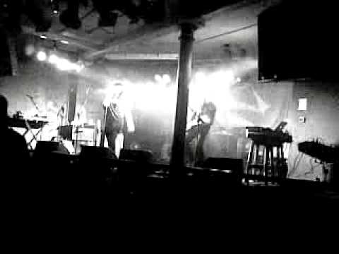 Menageries Nasty Bunny