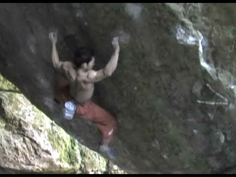 Dai Koyamada「montecore V15」  小山田大「モンテコーレ」