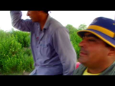 La Claudio Torres (Chacarera Doble) Raza Truncka - Invitado en voz: Horacio Banegas