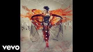 NEW Evanescence Imperfection