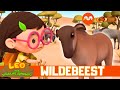 JUNIOR RANGERS SAVE BABY WILDEBEEST Leo The Wildlife Ranger S7E16 Mediacorpokto ​
