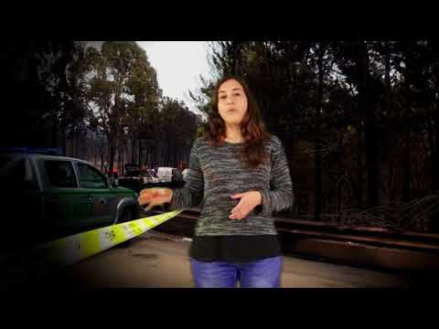 EF Challenge 2018 | Inês Ribeiro - Portugal | Sustainable Development