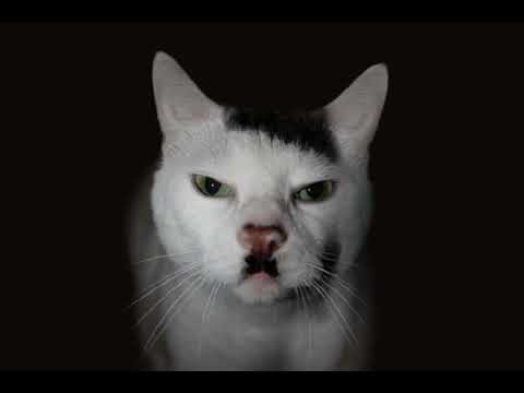 Erica - speed up/ nightcore (ceci est à but humoristique)